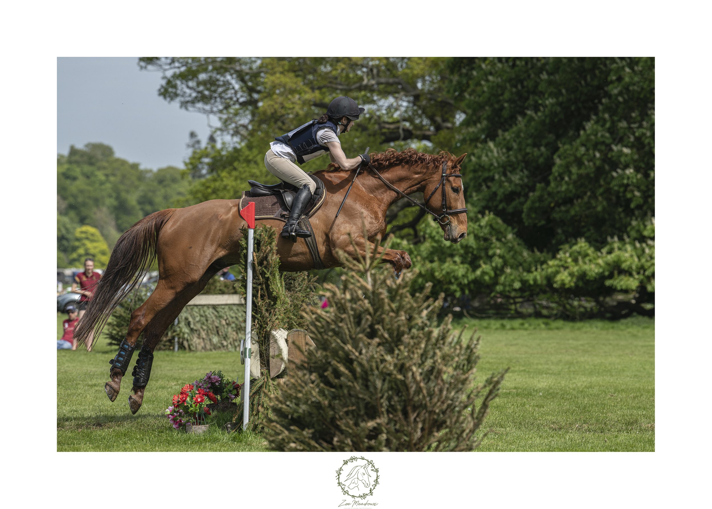 Chestnut jumping.jpg