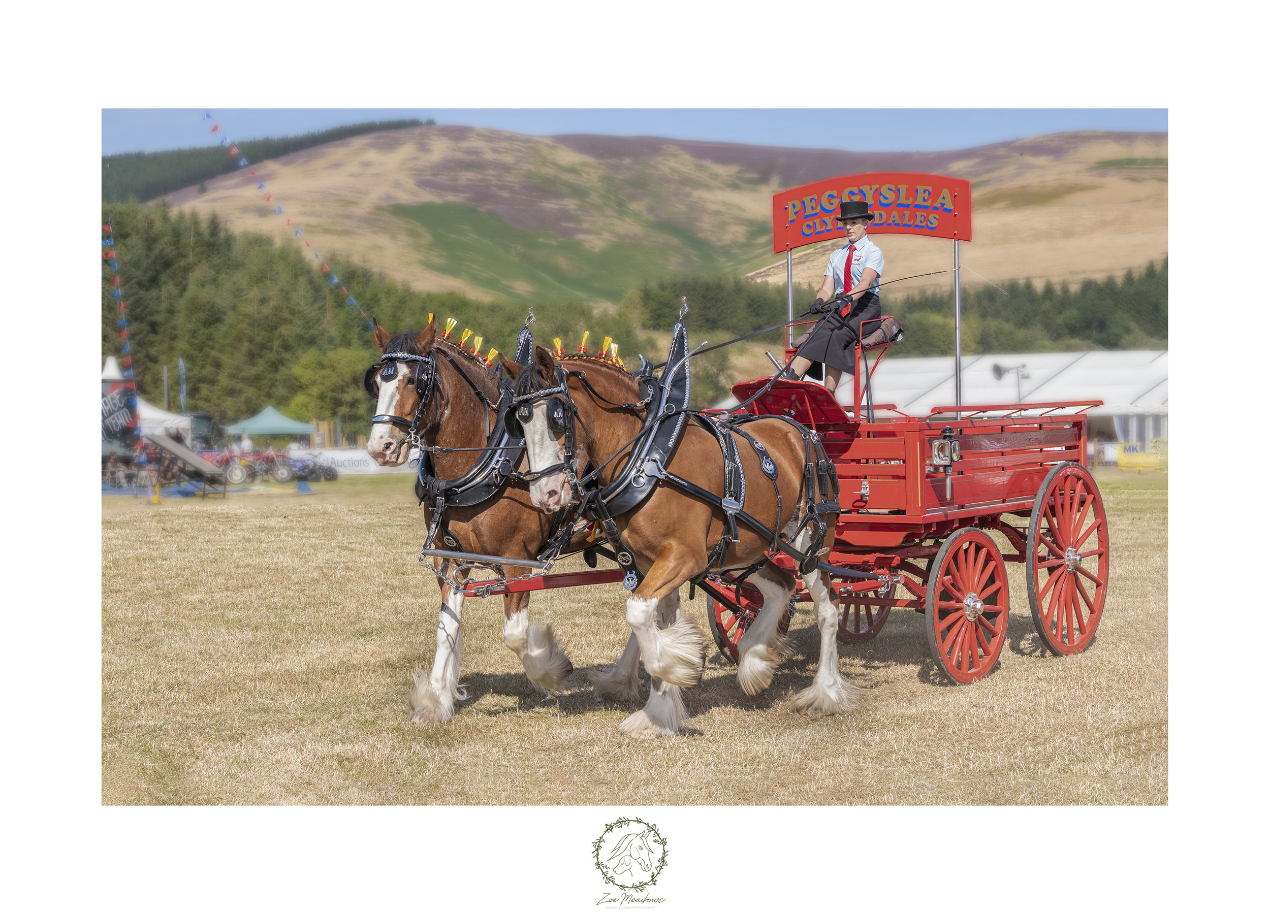 Clydesdales.jpg