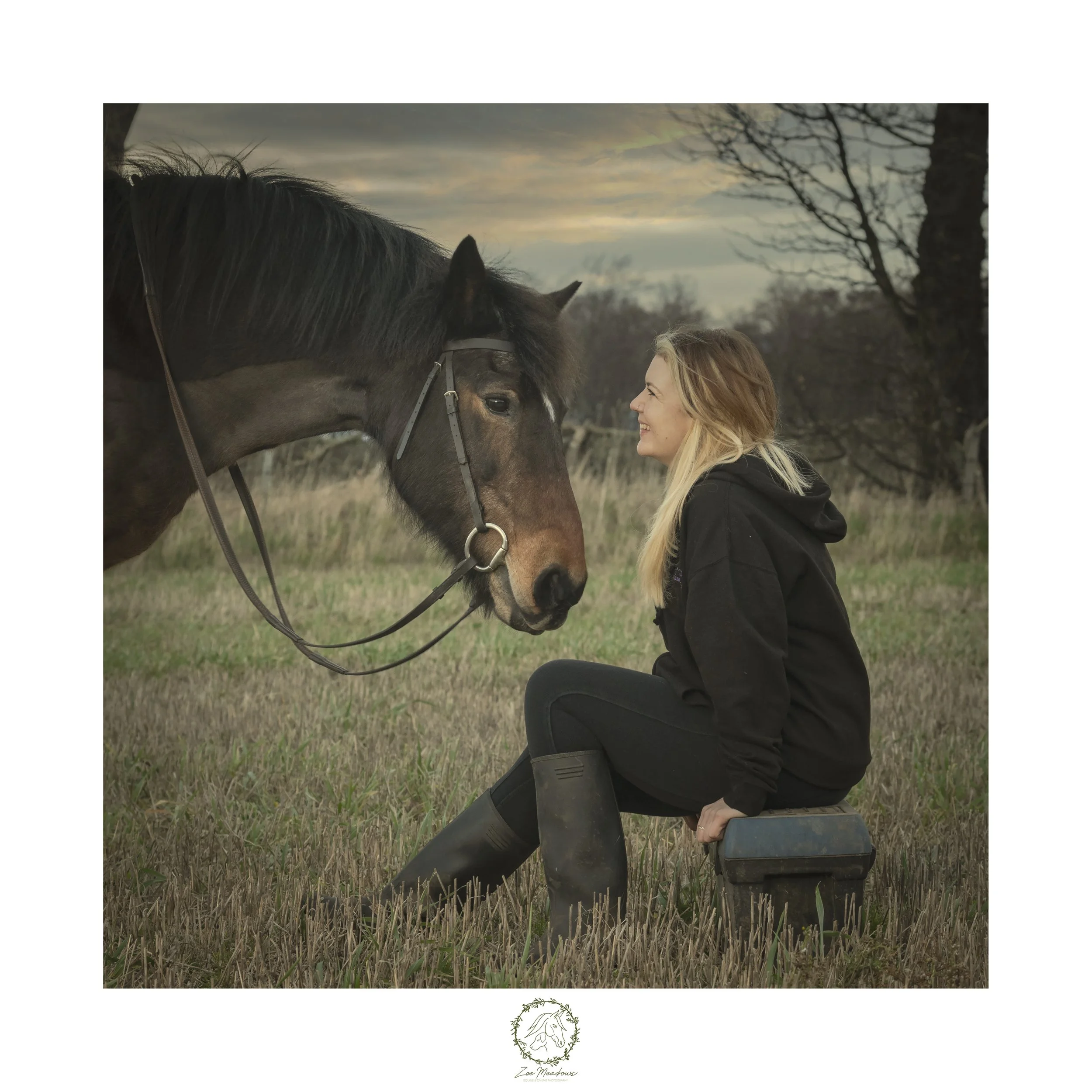 Gallery 3 Zoe Meadows Fine Art Equine And Canine Photography Gallery 3 Zoe Meadows Fine Art Equine And Canine Photography