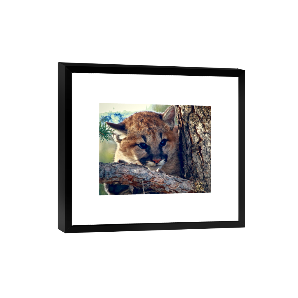 smartframe_rectangle4_5_456_0_4560_3648_0_false_ffffff_0_0.png