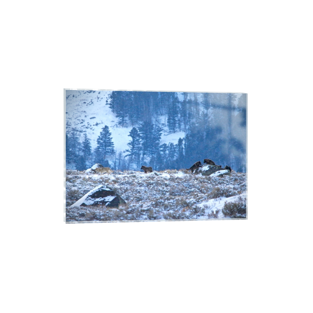acrylicprint_rectangle5_7_353_0_4445_3175_0_false_ffffff_0_0.png