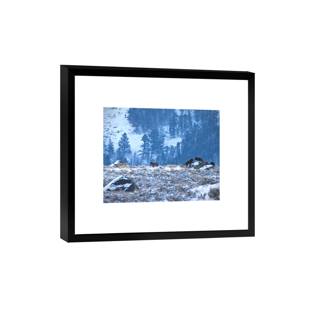 smartframe_rectangle4_5_591_0_3968_3175_0_false_ffffff_0_0.png