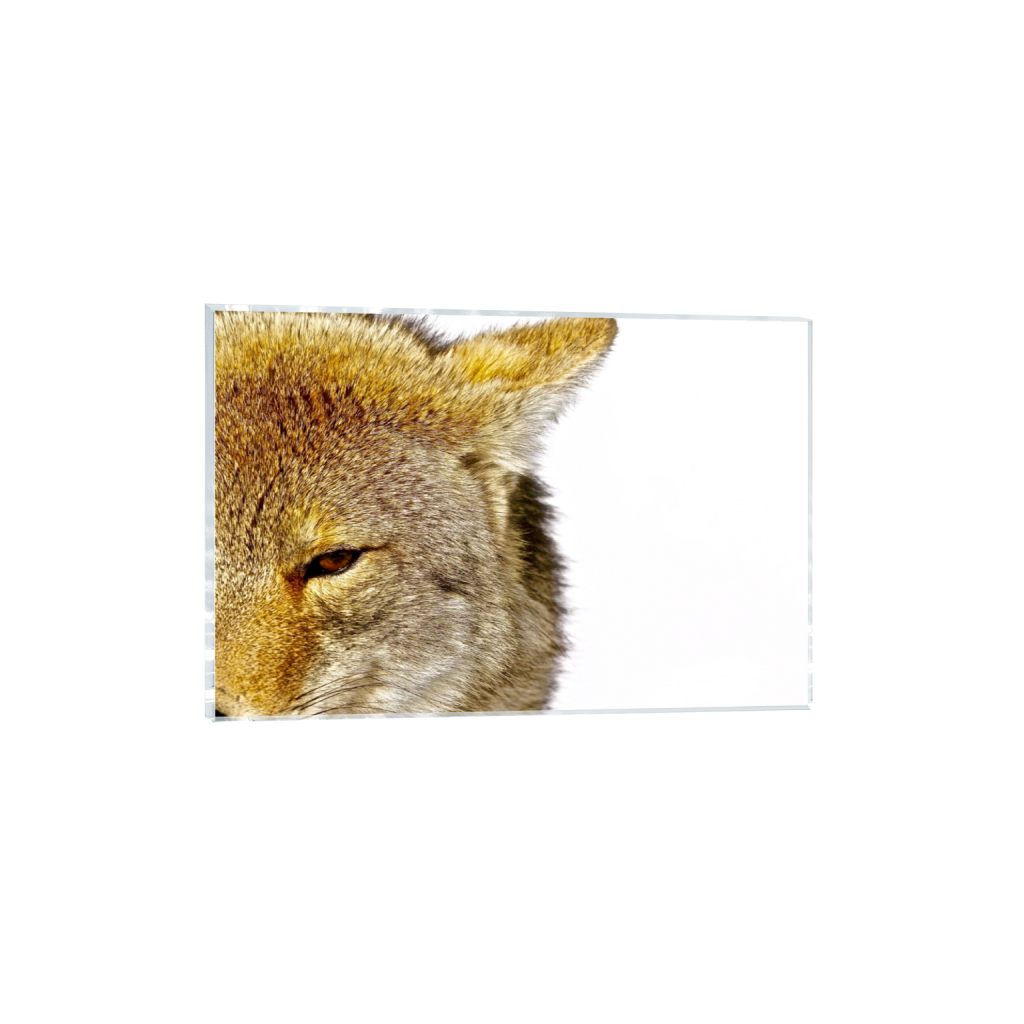 acrylicprint_rectangle2_3_0_0_5472_3648_0_false_ffffff_0_0.png