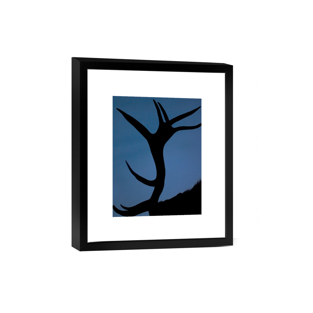 smartframe_rectangle3_4_0_304_3648_4864_0_false_ffffff_0_0.png