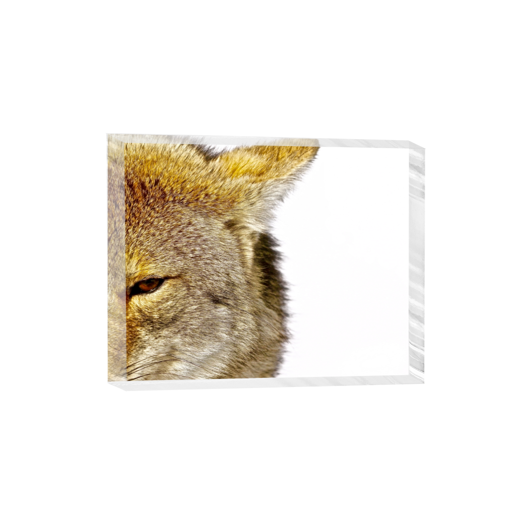 acrylicdesktopprint_rectangle4_5_456_0_4560_3648_0_false_ffffff_0_0.png