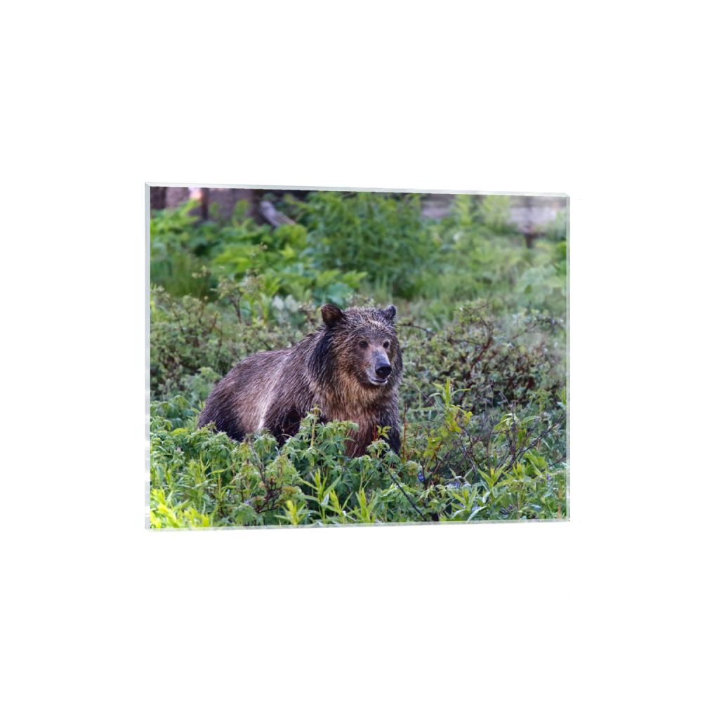 acrylicprint_rectangle4_5_456_0_4560_3648_0_false_ffffff_0_0.png