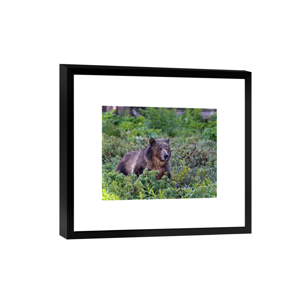 smartframe_rectangle4_5_456_0_4560_3648_0_false_ffffff_0_0.png
