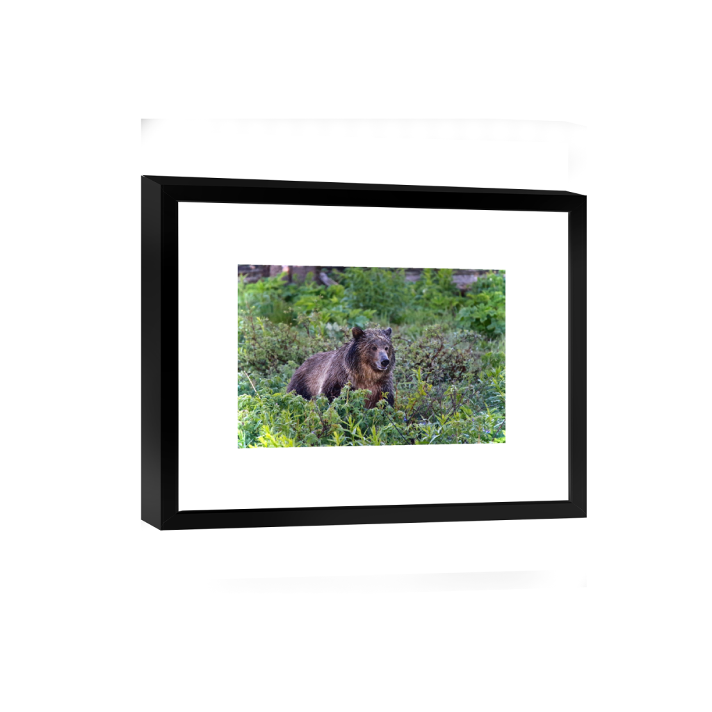smartframe_rectangle2_3_0_0_5472_3648_0_false_ffffff_0_0.png