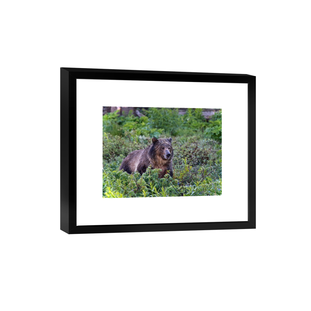 smartframe_rectangle3_4_304_0_4864_3648_0_false_ffffff_0_0.png