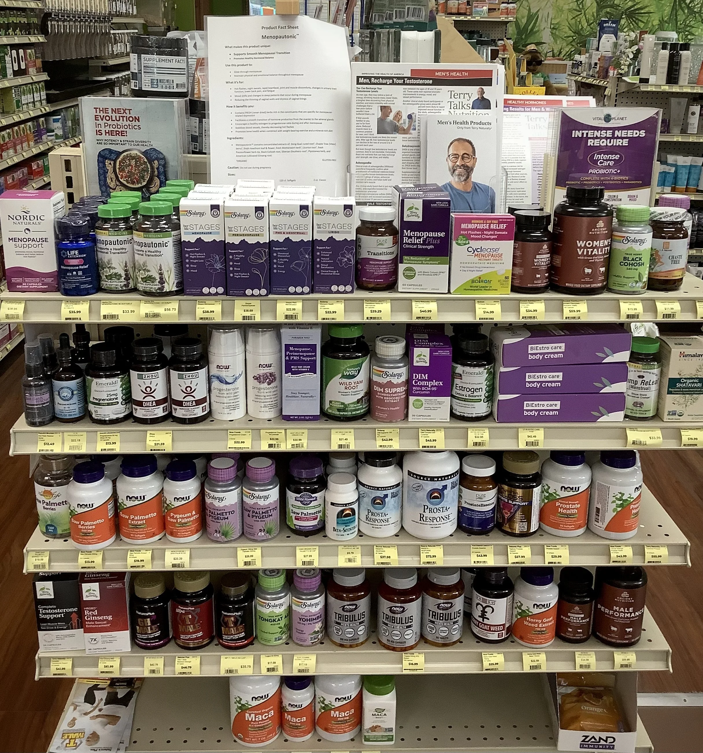 Men's and Women's Hormones