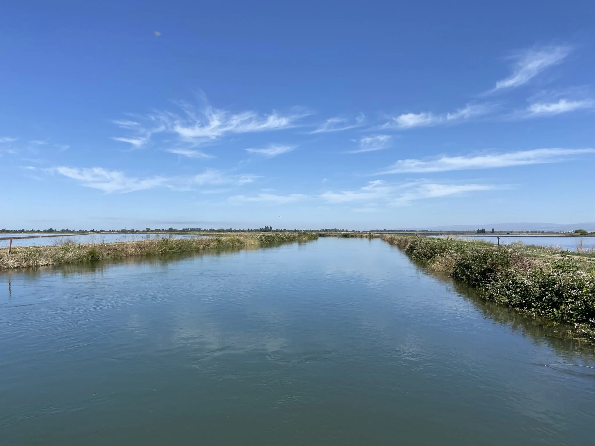 Services 4 — LAFco