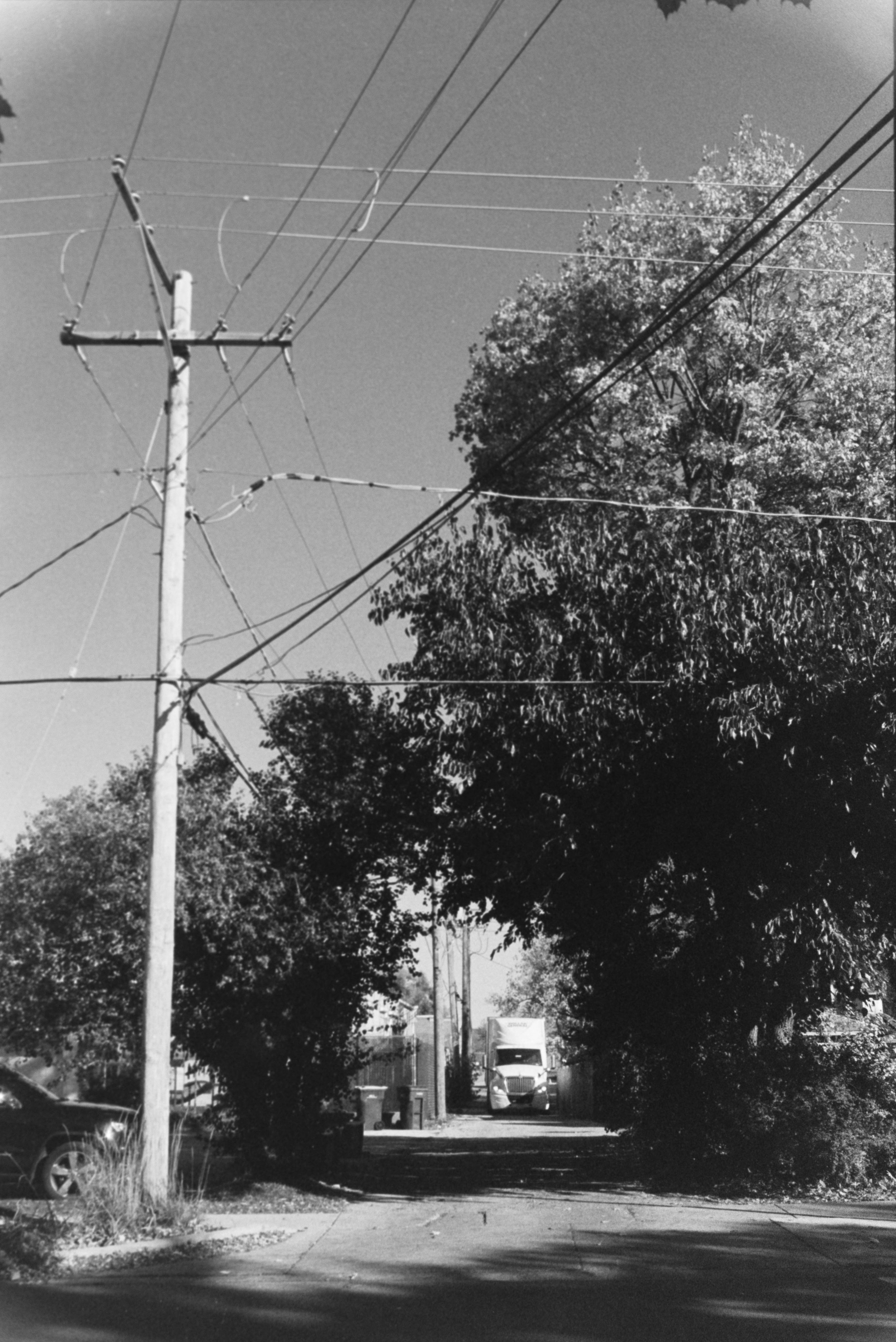 0J4A0036.jpg