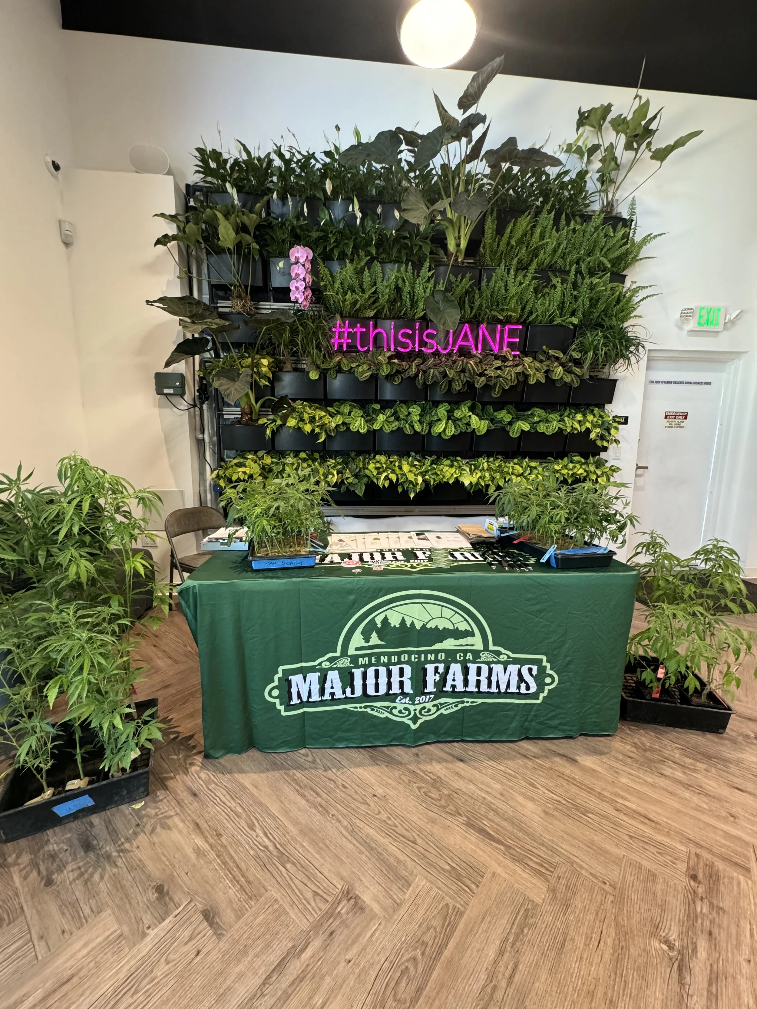 Jane Dispensary Healsburg California