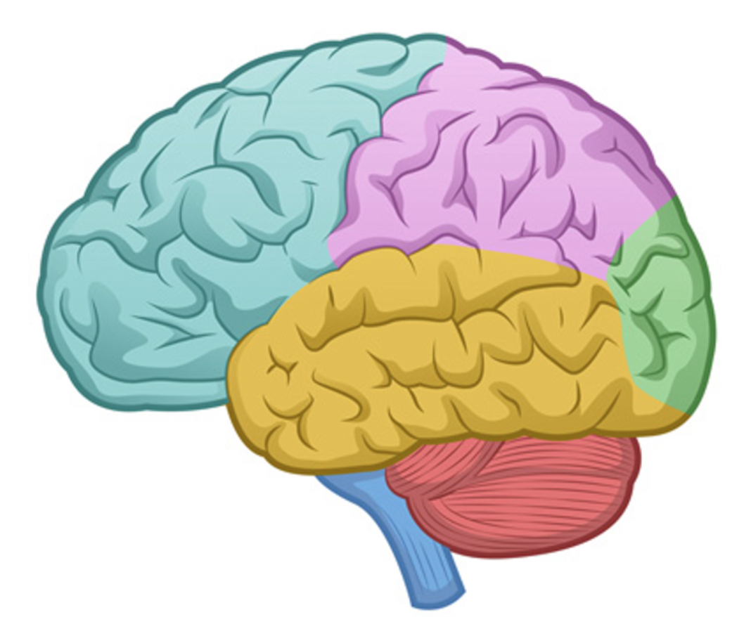 Kiss your brain….
