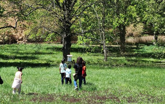 Screen Shot 2023-05-09 at 9.21.47 AM.png