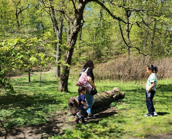 Screen Shot 2023-05-09 at 9.22.00 AM.png