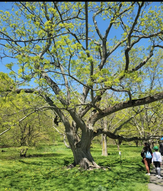 Screen Shot 2023-05-09 at 9.28.00 AM.png