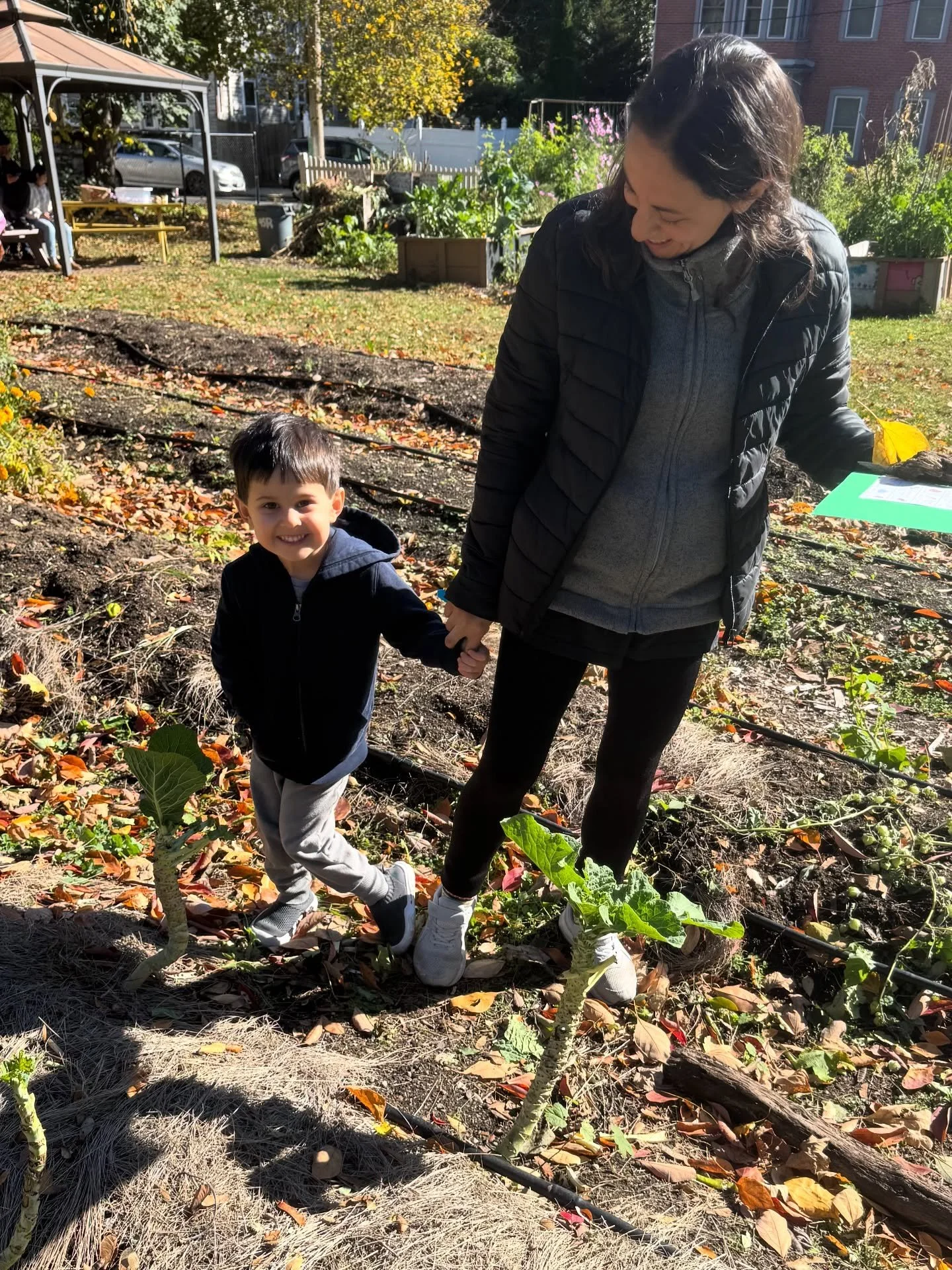 This month&rsquo;s play date  to @thornton_st_urban_farm felt like stepping right into the pages of @janaybrownwood&rsquo;s Amara&rsquo;s Farm. 🍂✨ 

Families explored the land, searched for colors and treasures on our scavenger hunt, painted rocks, 