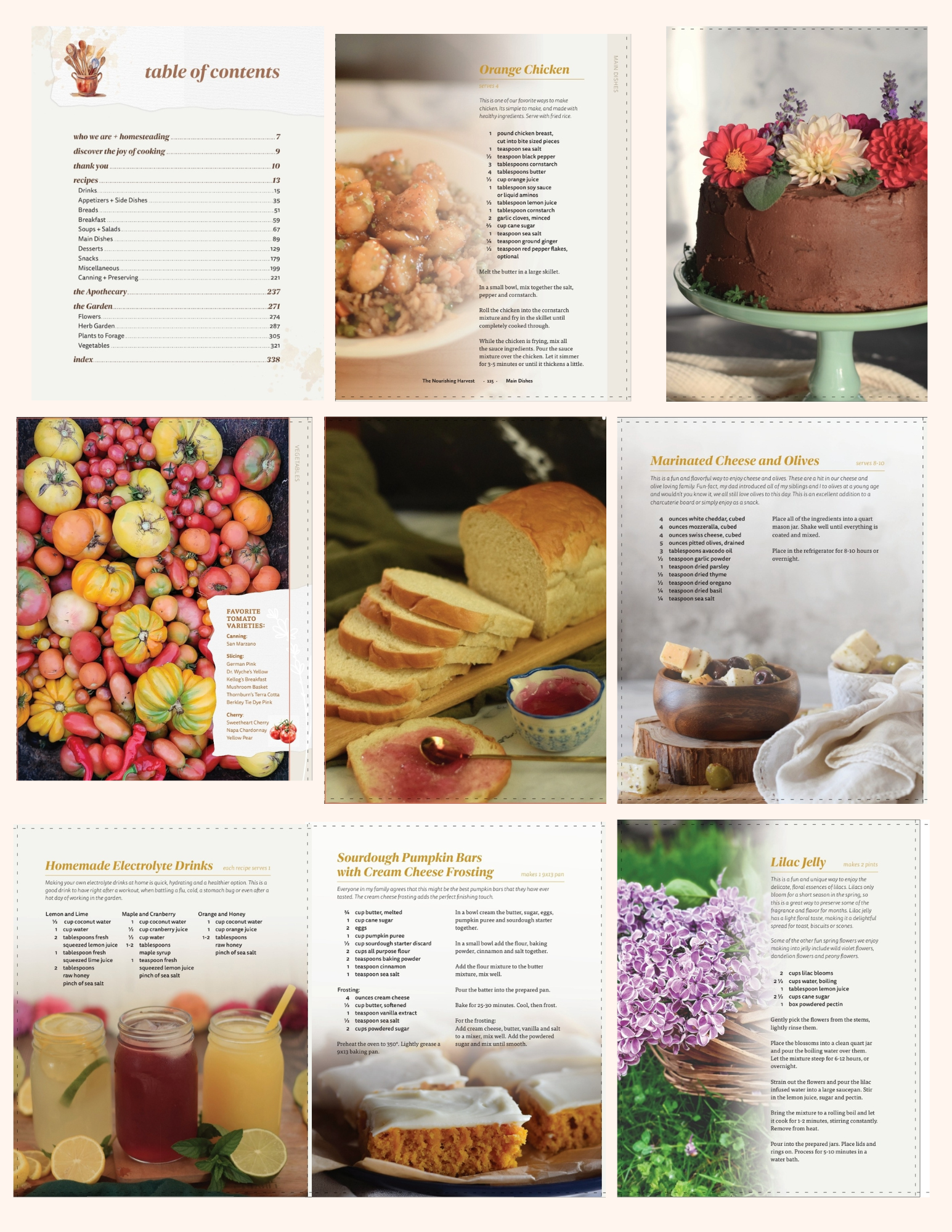 The Nourishing Harvest Cookbook Contents.png