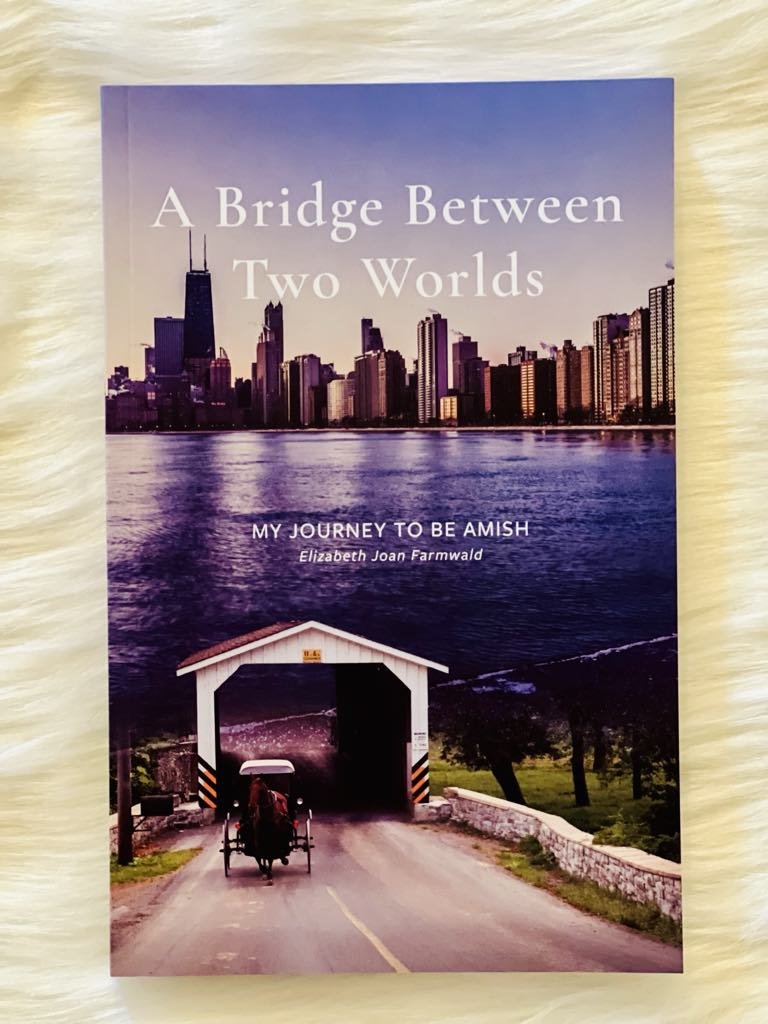A Bridge Between Two Worlds by Elizabeth Joan Farmwald.jpg
