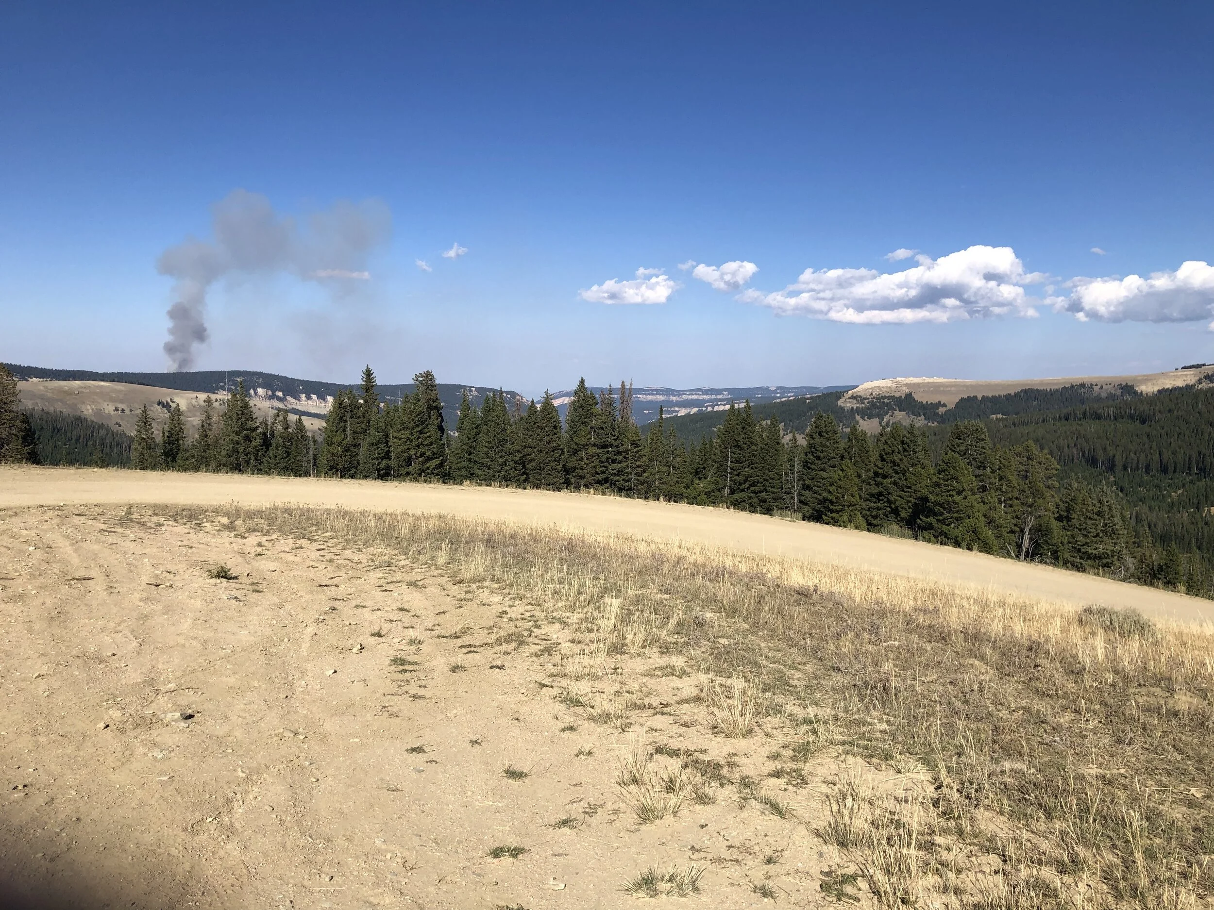 Regrettably the new normal