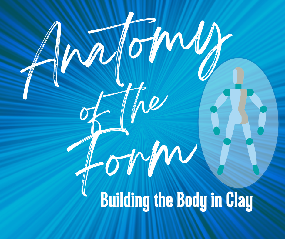 Anatomy In Clay