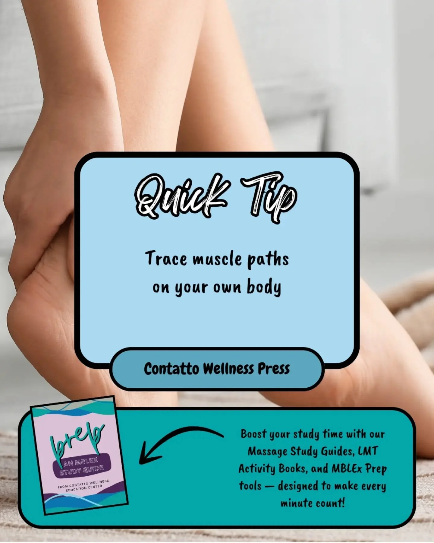 A quick "Tuesday Study Tip" for our massage students ✨🖐🏽✨

Follow &amp; like for more!

#MassageStudent #MassageSchool #StudyTips #StudyWithMe #ContattoWellnessPress