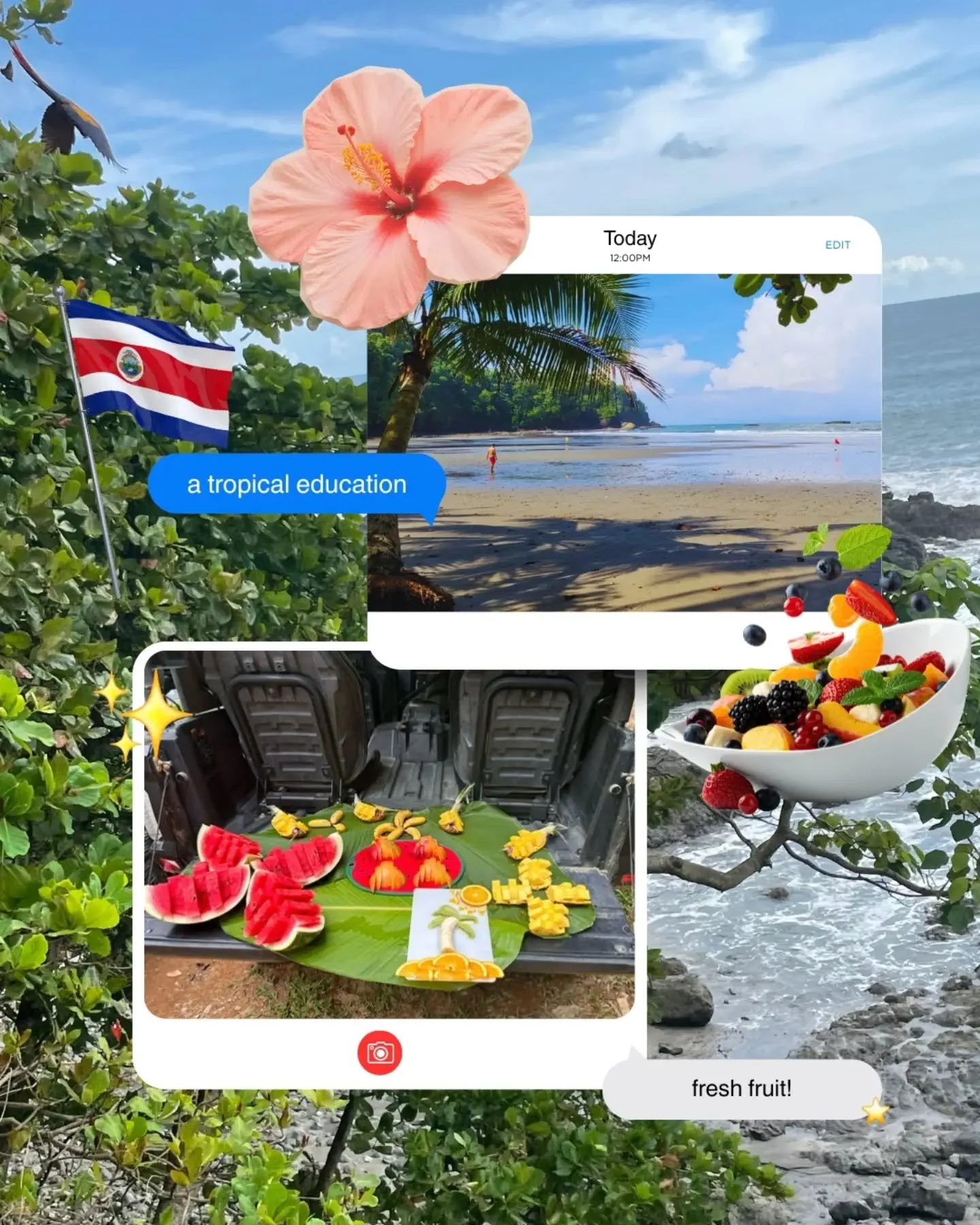 POV: Massage School in Costa Rica ☀️🌴🌊

Study with Contatto Wellness and become a massage therapist.  Ready to take the leap?
www.ContattoWellness.com

#ContattoWellness #MassageSchool #MassageTraining #LearnMassage #StudyAbroad