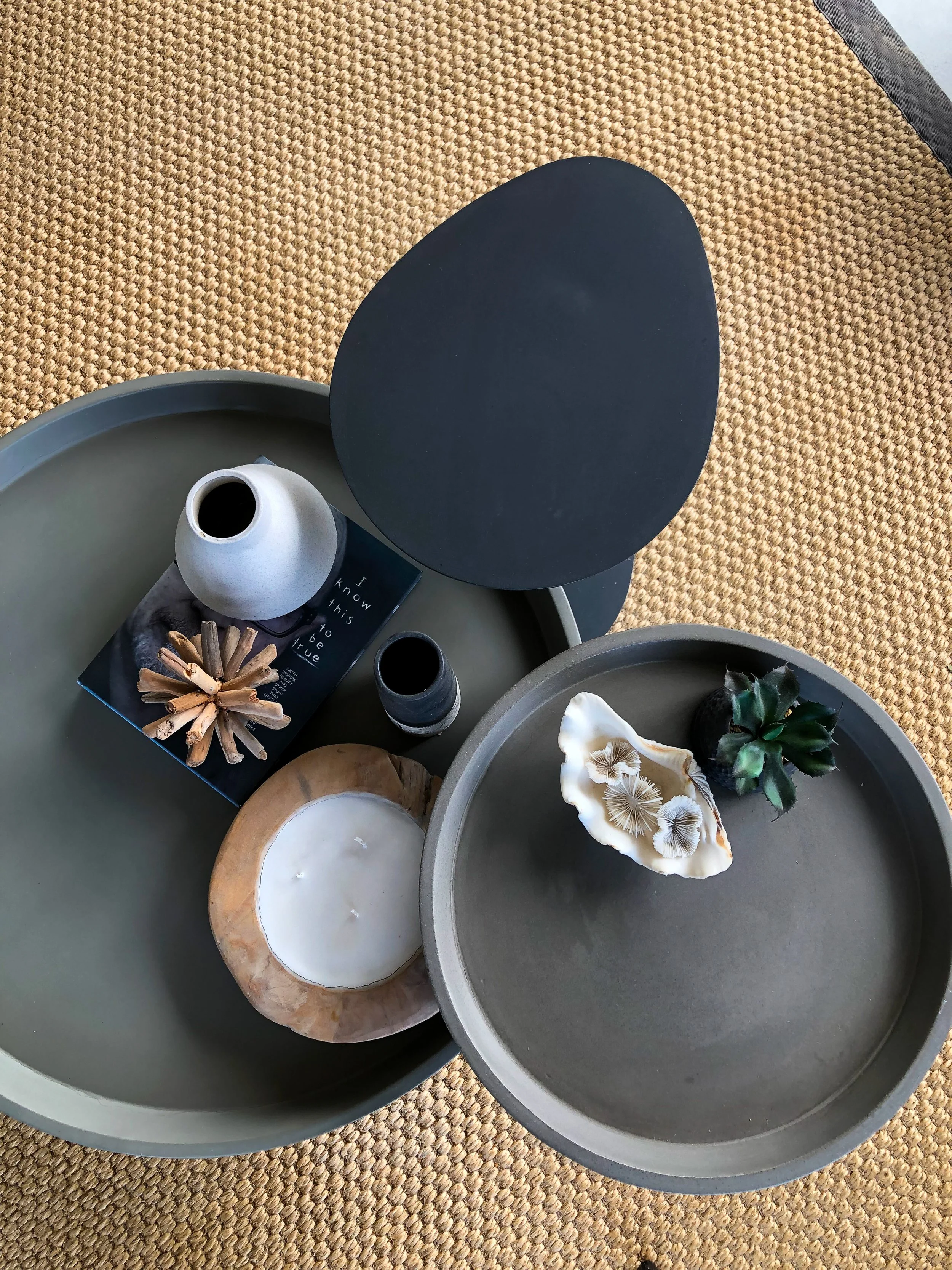Two round, shallow trays with decorative objects and shells on a woven rug. The trays contain vases, a small book, a pine cone, and a succulant plant.