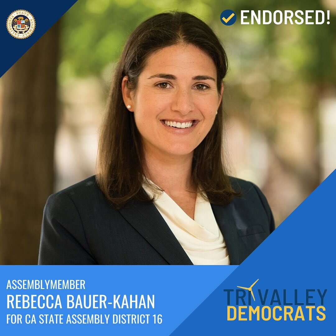 On Monday, January 15th, the Tri-Valley Democratic Club voted to endorse @rebeccaforassembly for CA State Assembly District 16.

To learn more about, donate to, volunteer for, and support Rebecca's reelection campaign for CA State Assembly District 1