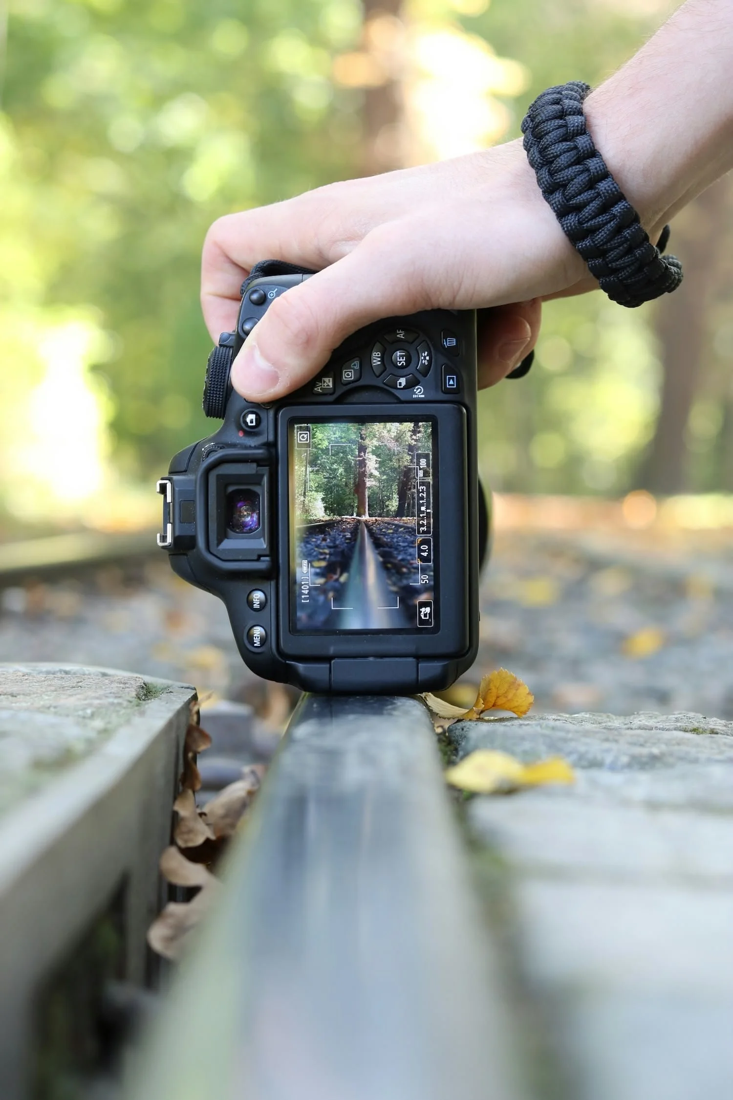Looking down the live view of a DSLR on an Autumn day