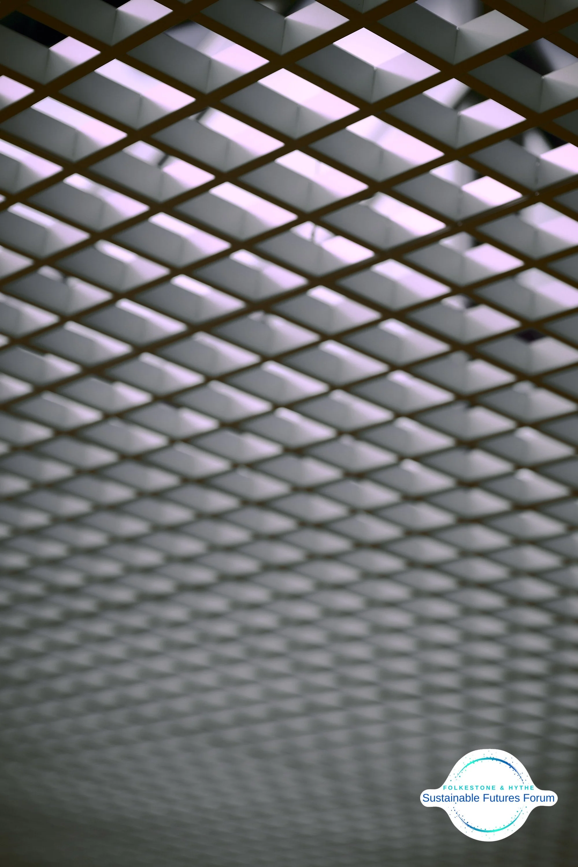Ceiling with grid pattern of square panels and a logo in the bottom right corner that reads 'Folke stone & Hythe Sustainable Futures Forum'.