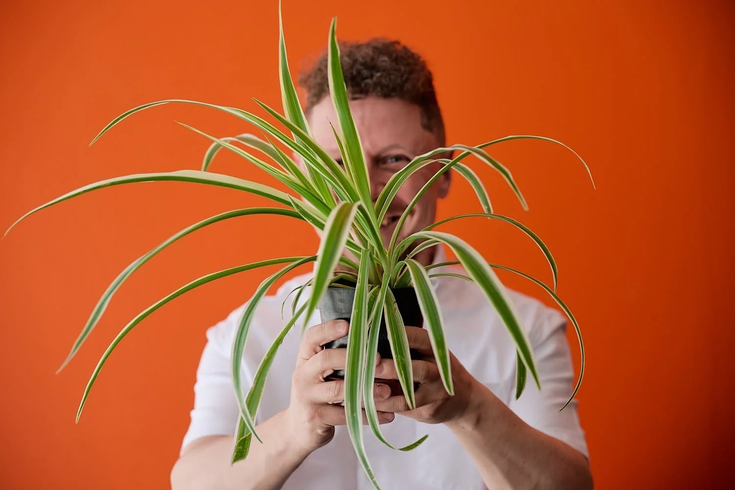 Paul Neal from Verdant Purpose posing with a plant