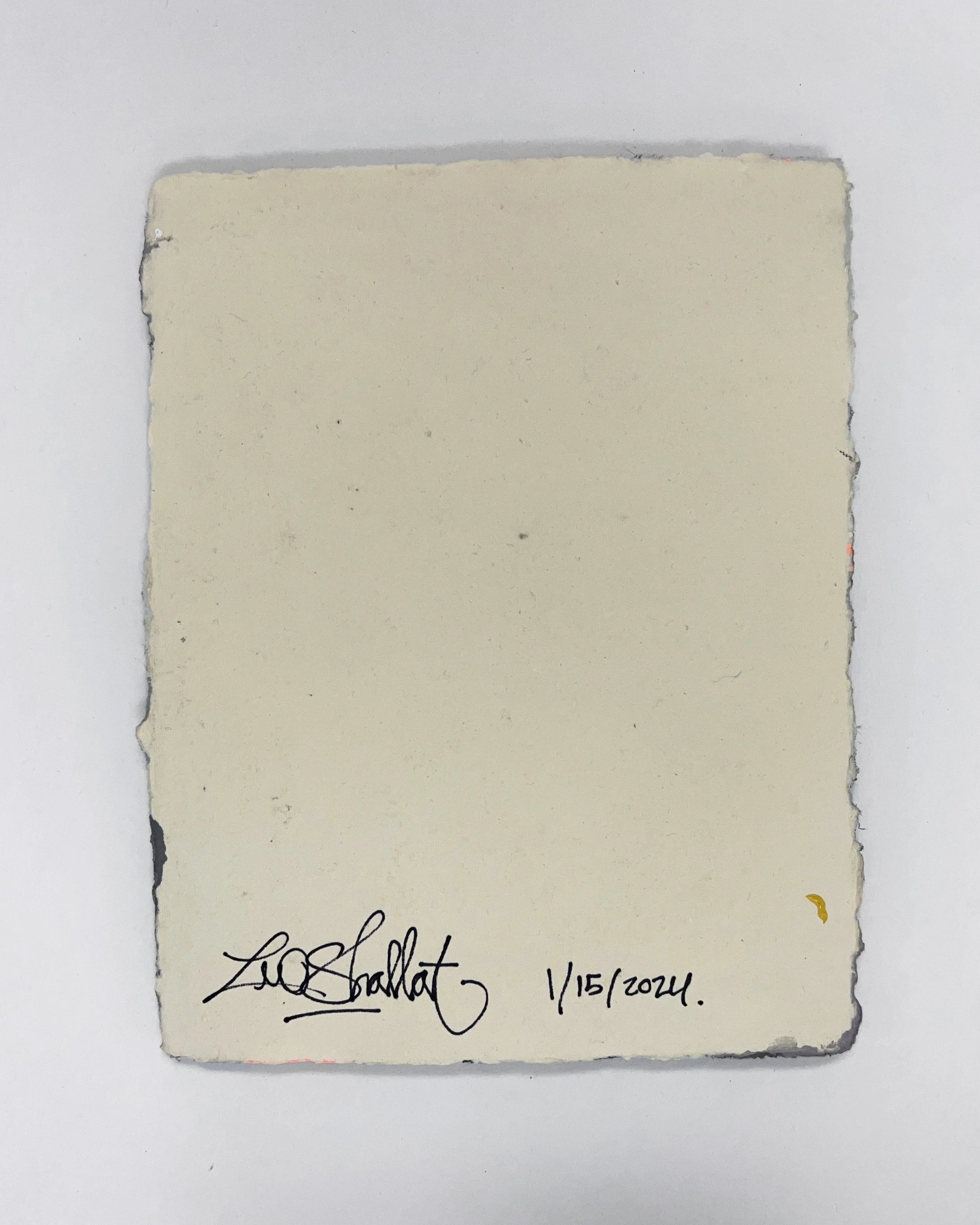 Brush Meditations_0019_1.15.back.jpg