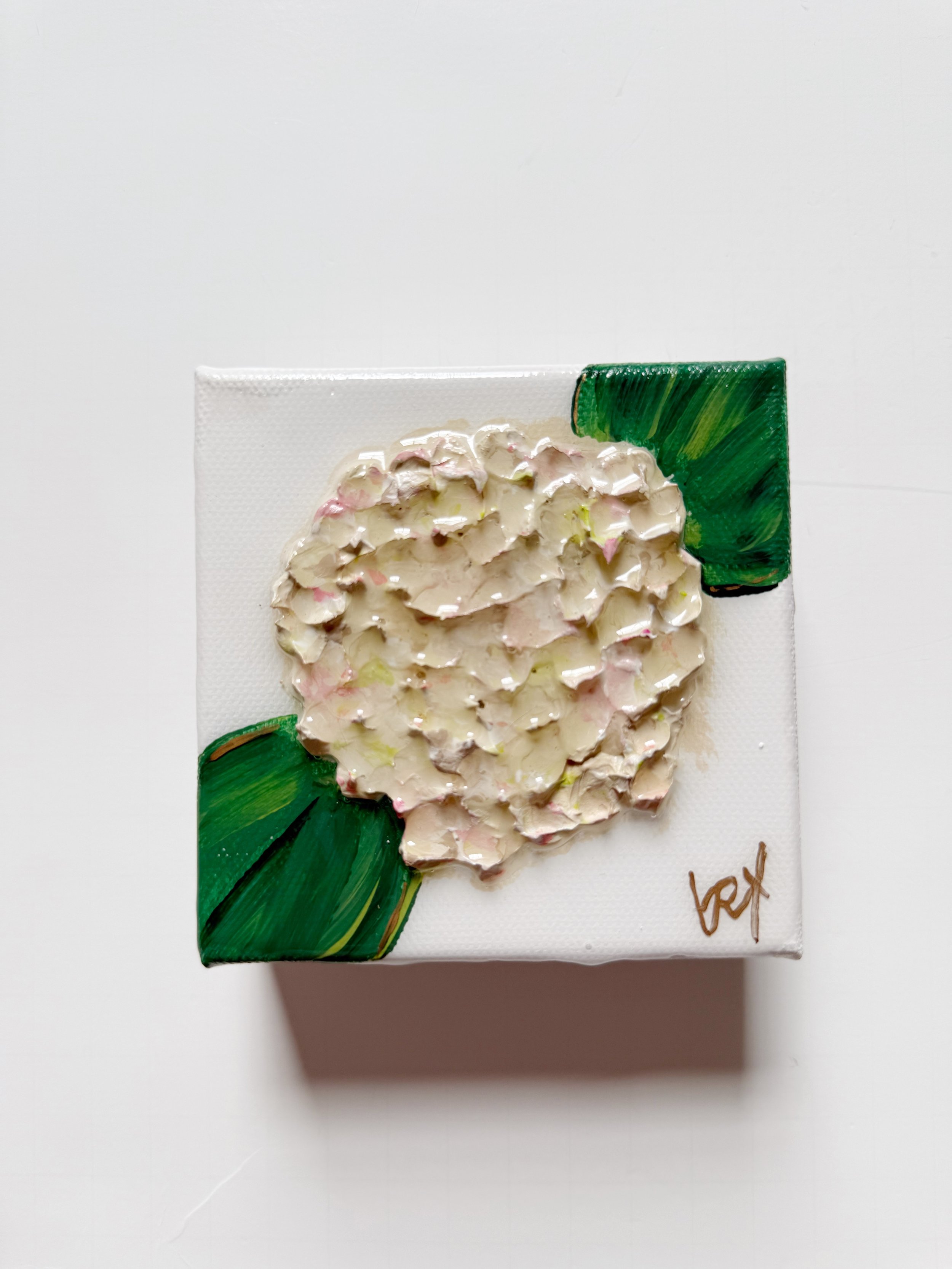 hydrangea mini 1.jpg