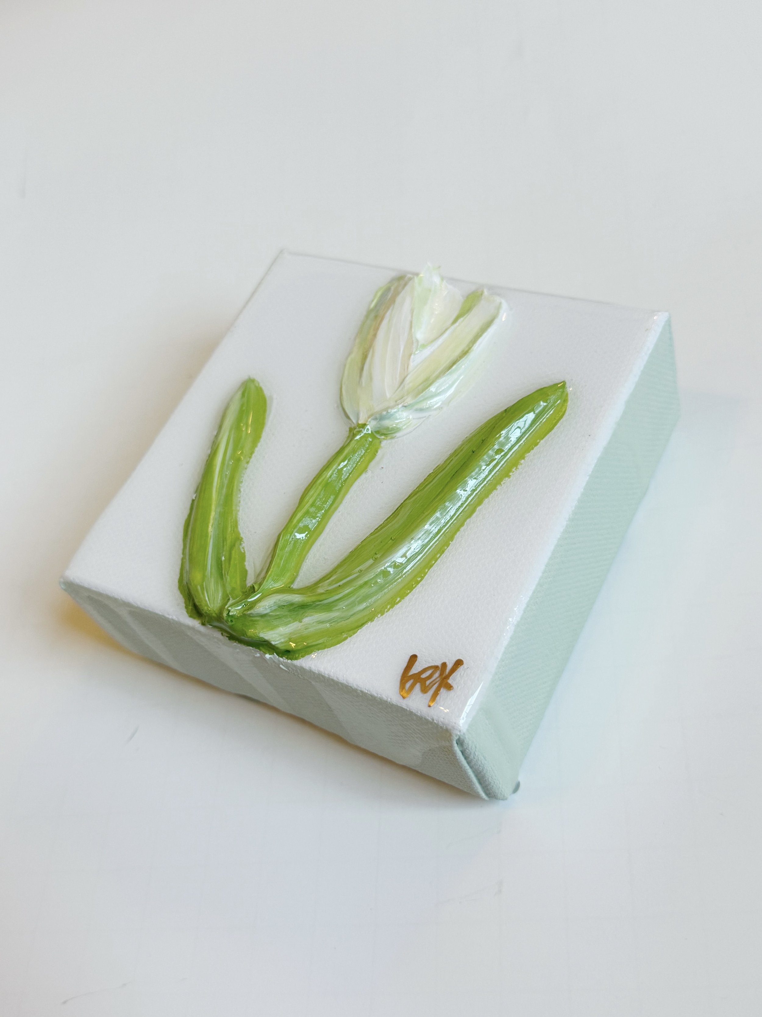 tulip 12 second.jpg
