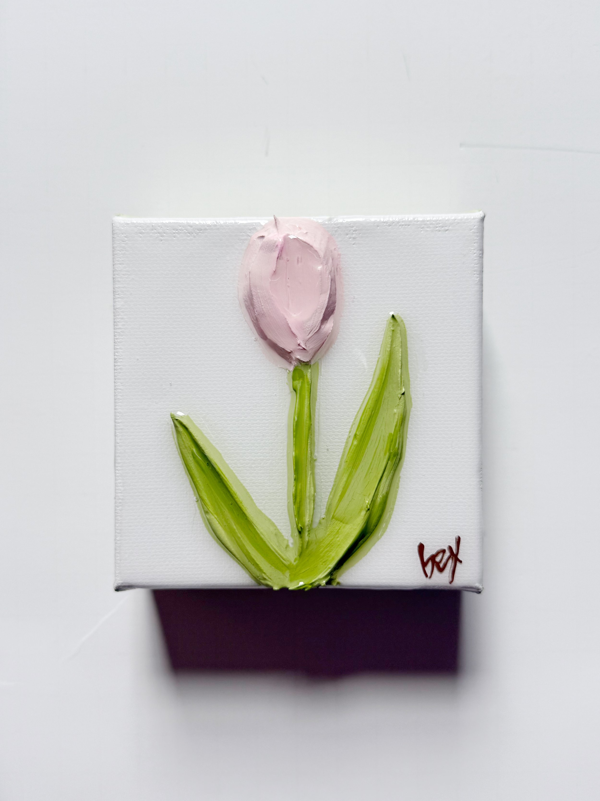 tulip 1.jpg