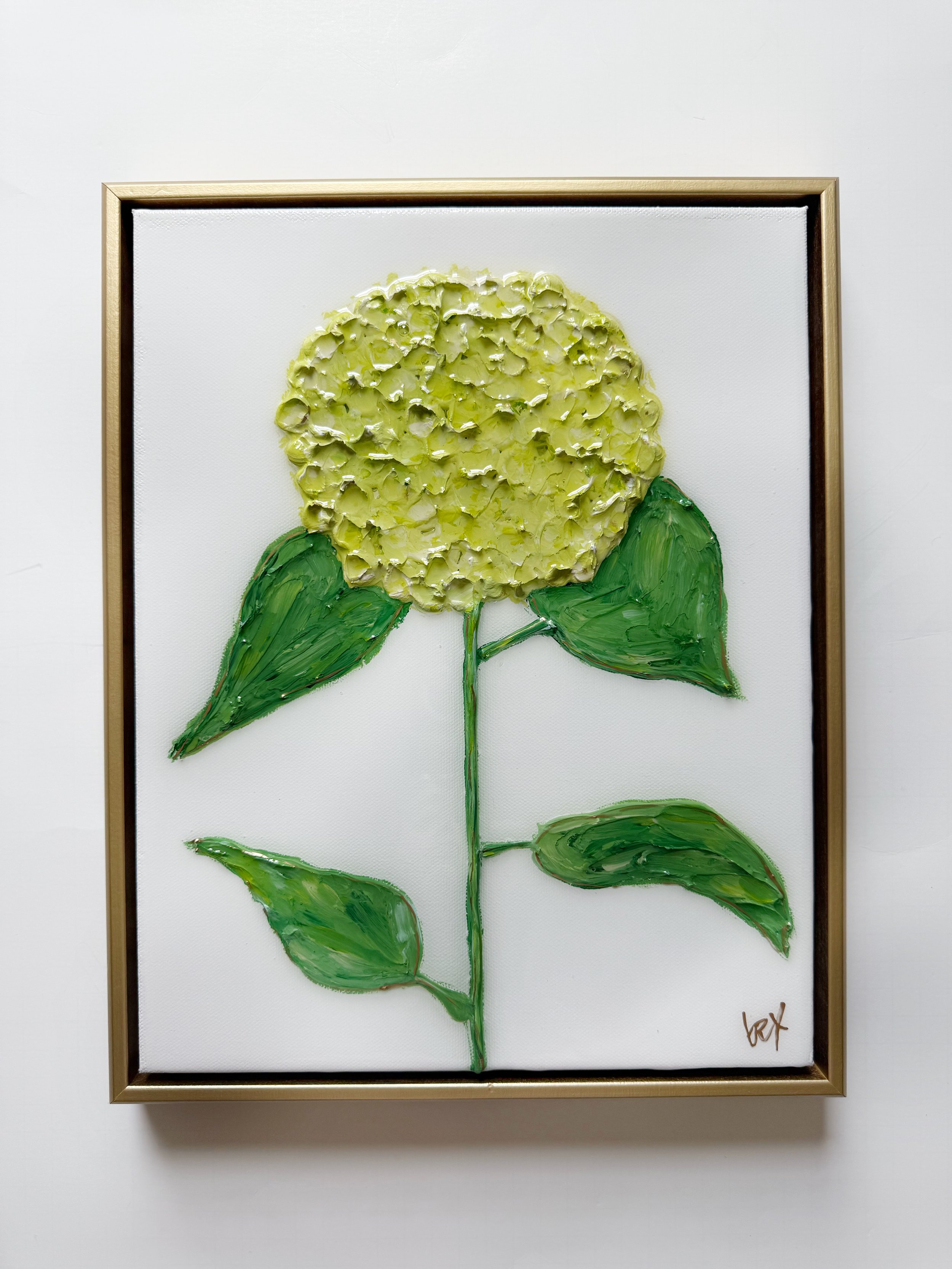 lime hydrangea 1.jpg