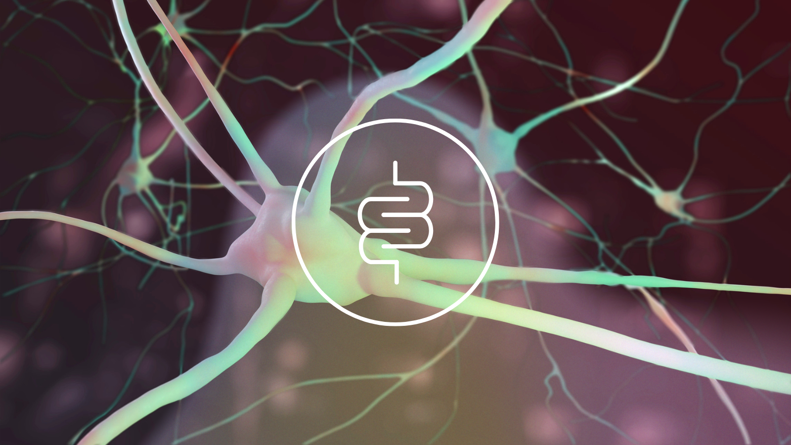 Microbiote et cerveau : comment l’intestin influence la cognition et l’humeur ?