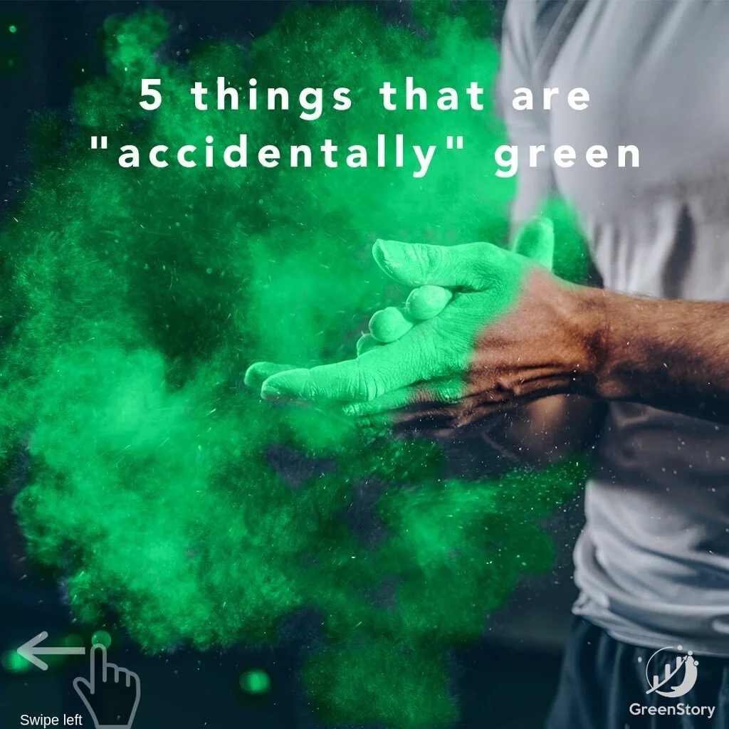 66406041_448437732666582_7203784780199418684_n (1).jpg