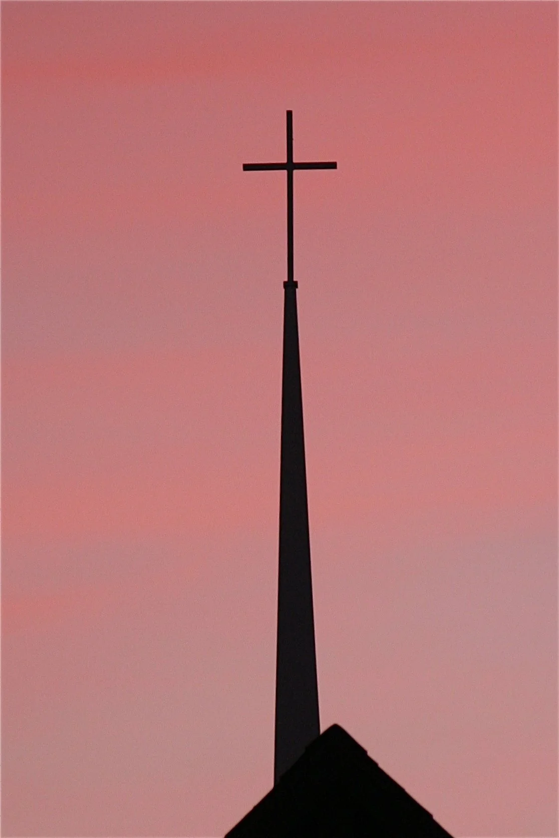 Steeple in pink.JPG