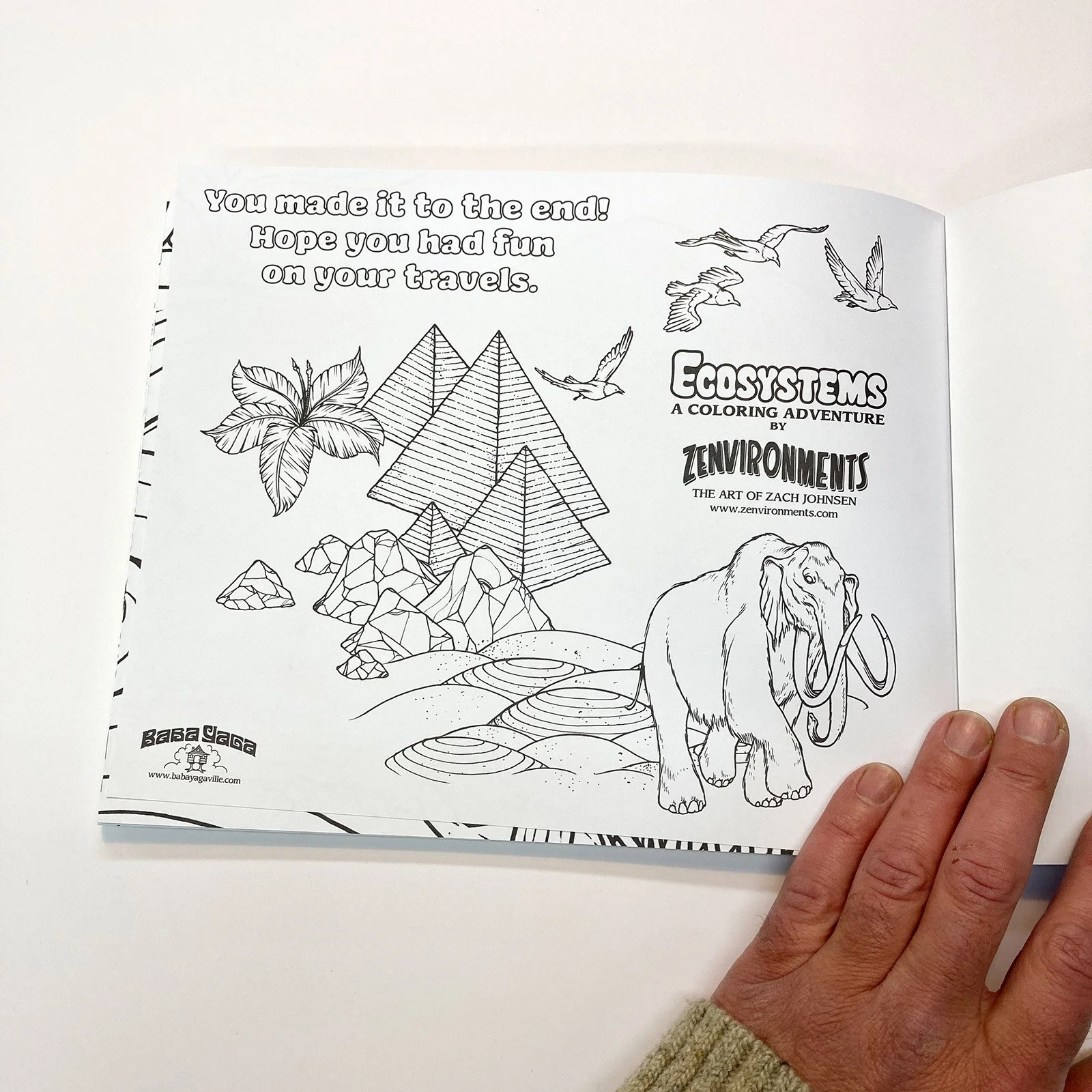 Ecosystems-Coloring-Book17.jpg