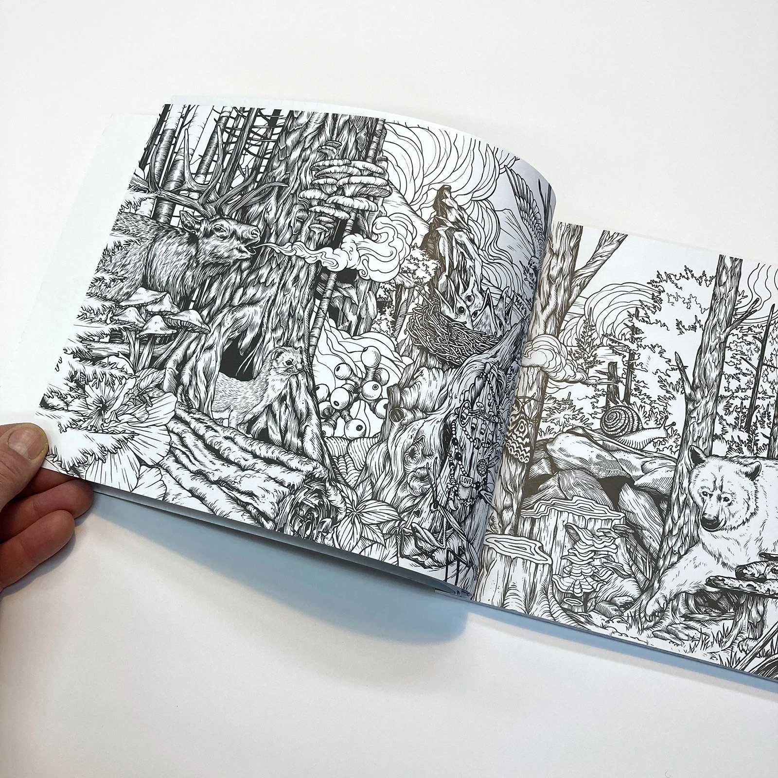 Ecosystems-Coloring-Book6.jpg