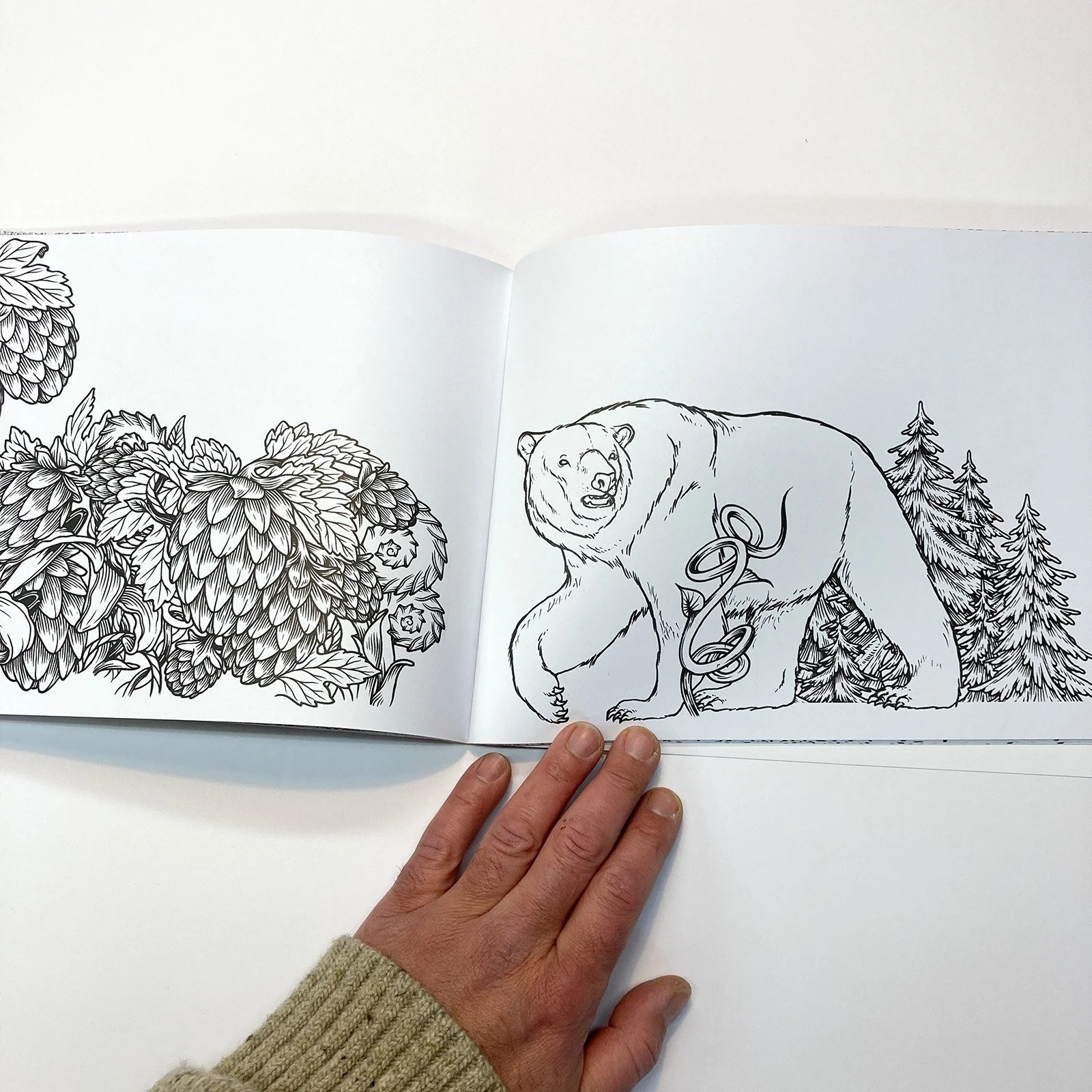 Ecosystems-Coloring-Book15.jpg