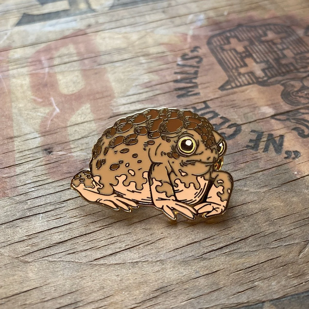 grumpy-toad-pin3.jpg