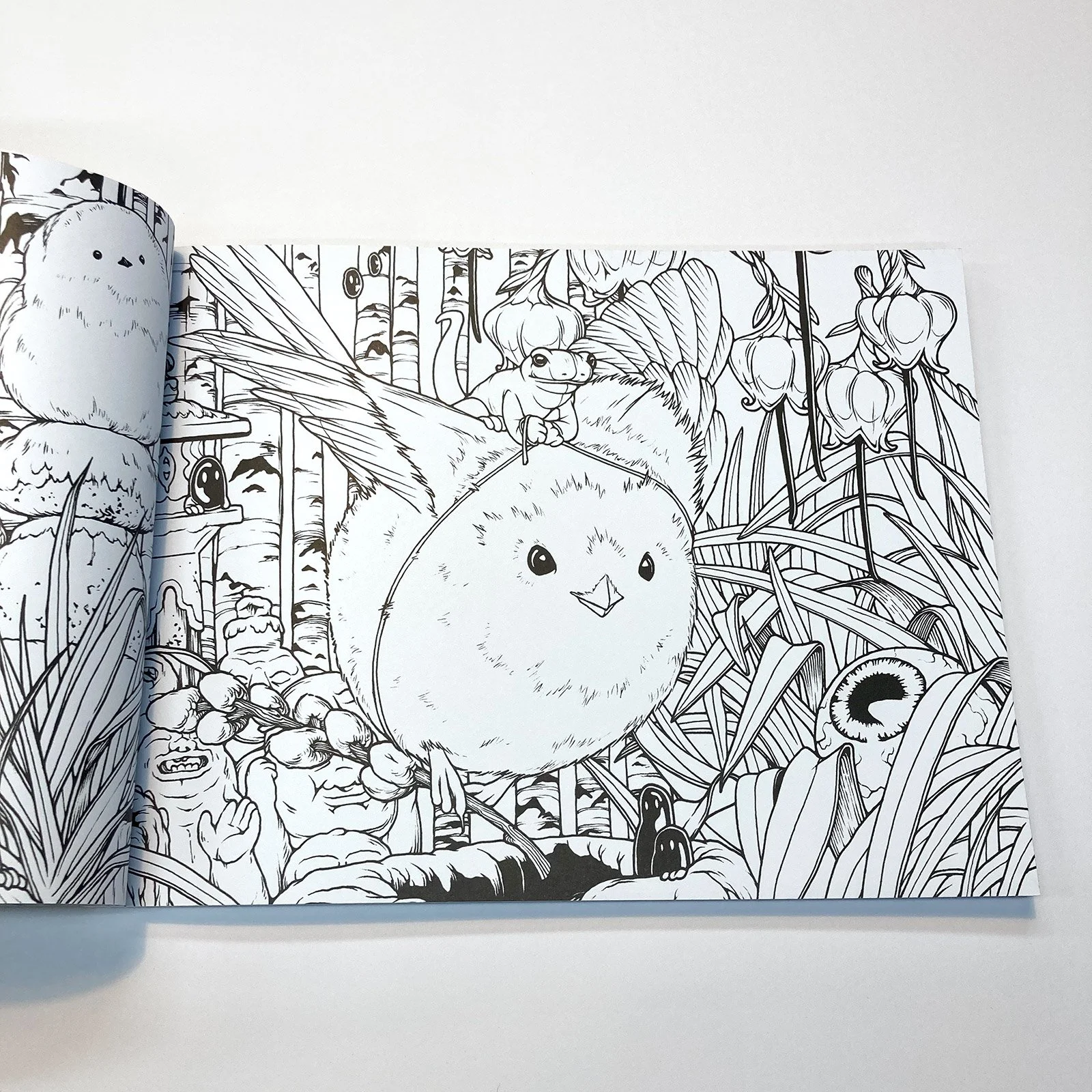Ecosystems-Coloring-Book7.jpg