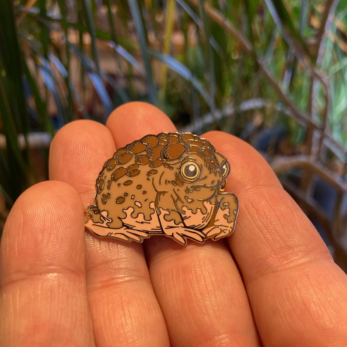 grumpy-toad-pin5.jpg