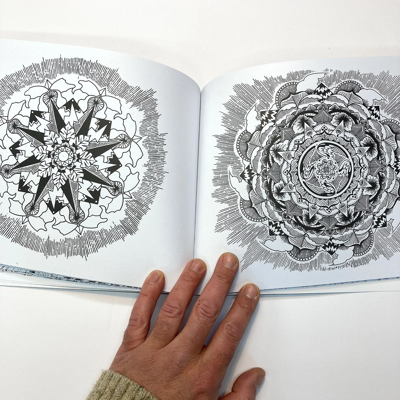 Ecosystems-Coloring-Book14.jpg