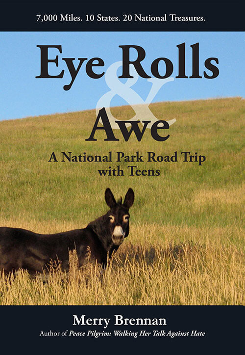 Eye Rolls & Awe: A National Parks Road Trip with Teens by Merry Brennan (front cover)