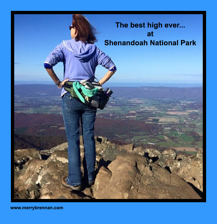 2021Mar28ShenandoahNationalParkPeakView.jpg